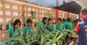 RESP AMBIENTAL 1