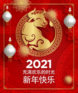 ULTRACEM BANNER 373x448 Lenguaje chino