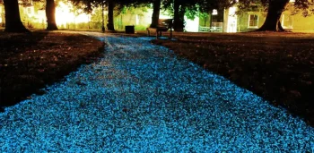 Pavimento brillante2.webp